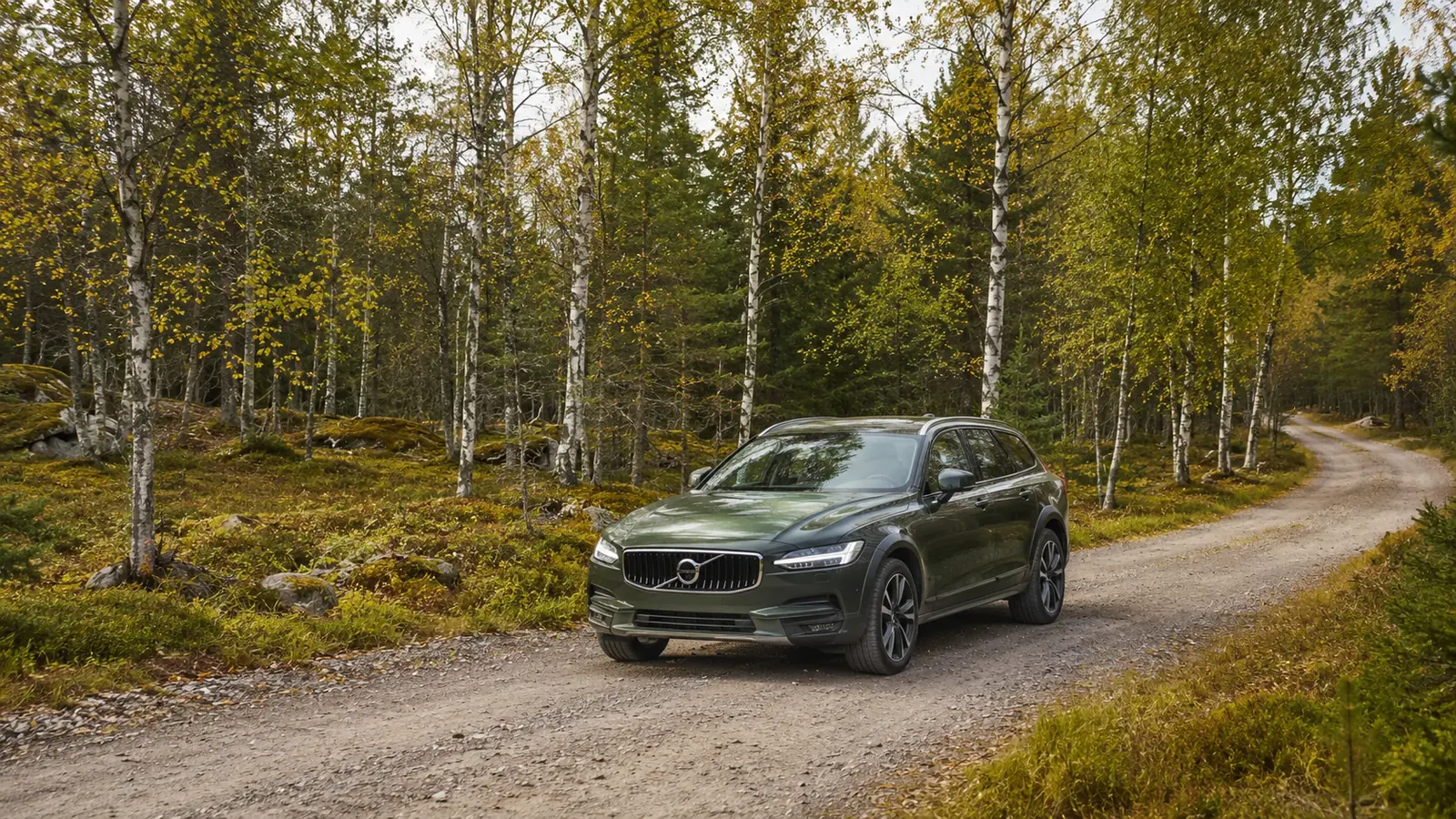АВТО 1000087 зелёный Volvo V90 Cross Country в берёзовом лесу