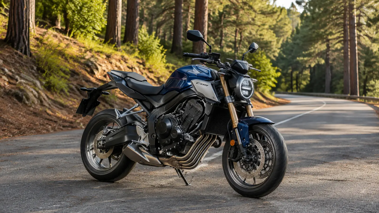 АВТО 1000331 Honda CB650R на лесной дороге