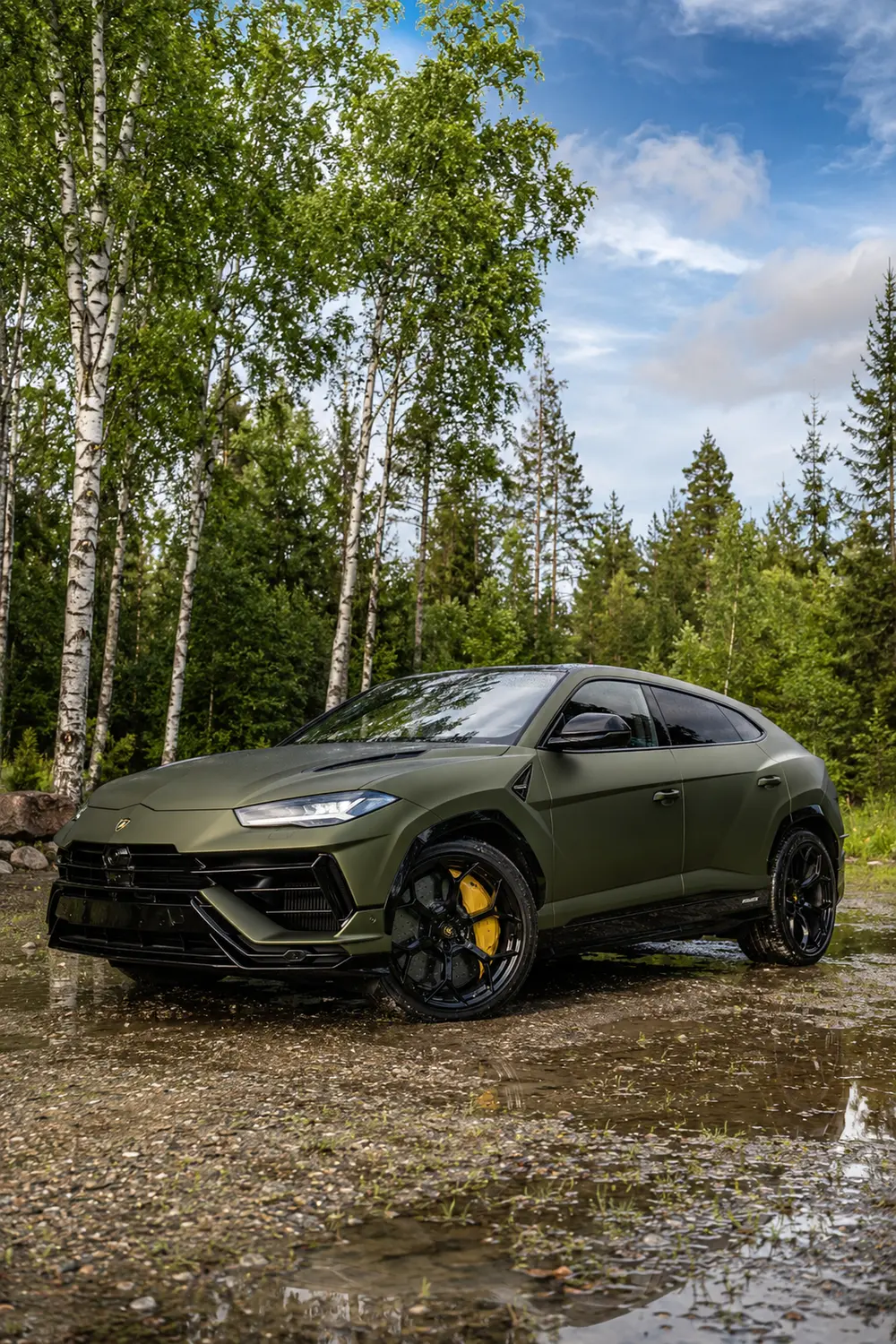 АВТО 1003747 зелёный Lamborghini Urus Performante в берёзовом лесу после дождя