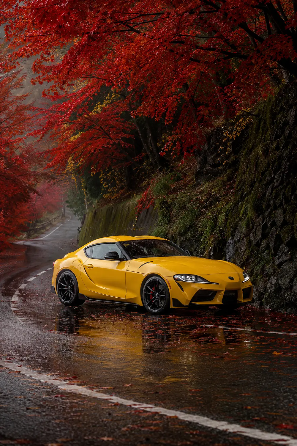 АВТО 1003445 жёлтый Toyota Supra на осенней дороге