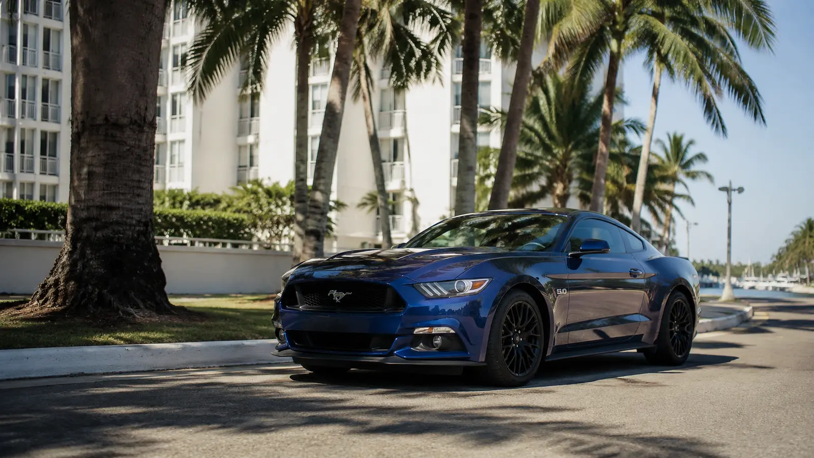 АВТО 1000049 синий Ford Mustang у пальм