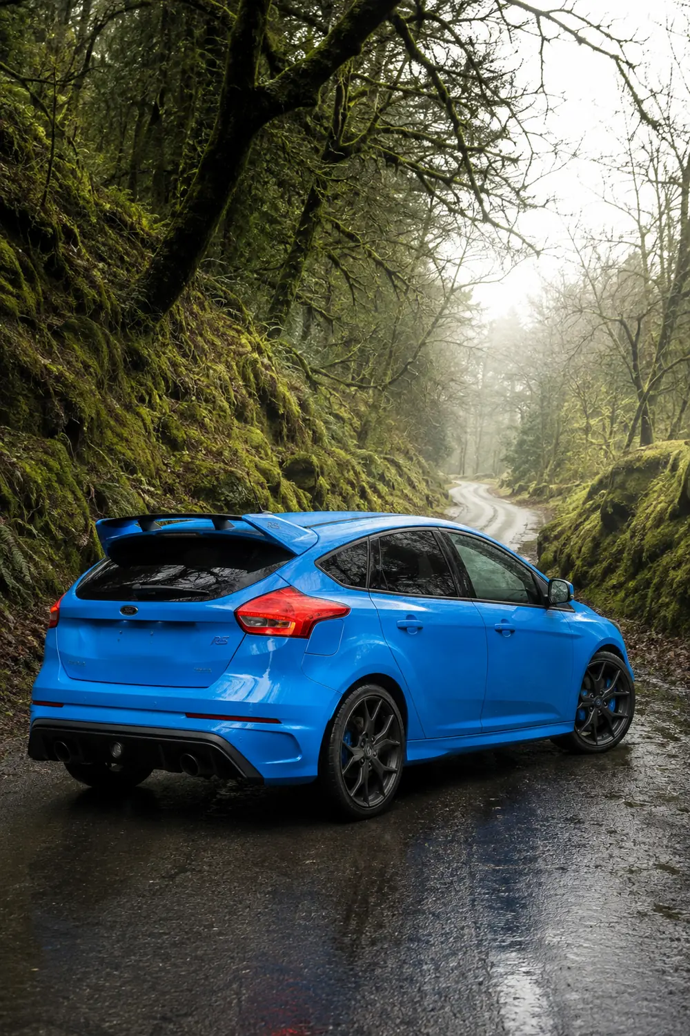 АВТО 1003809 синий Ford Focus RS на мокрой лесной дороге